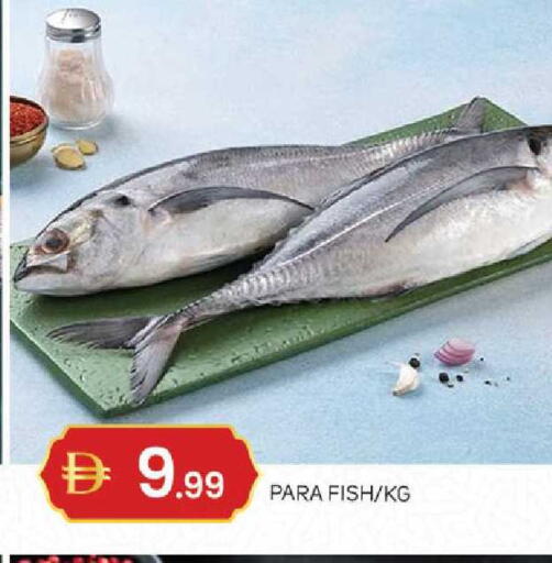 available at TALAL MARKET in UAE - Sharjah / Ajman