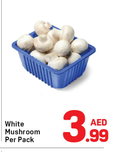 Mushroom available at Day to Day Department Store in UAE - Dubai