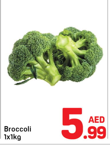 Broccoli available at Day to Day Department Store in UAE - Dubai