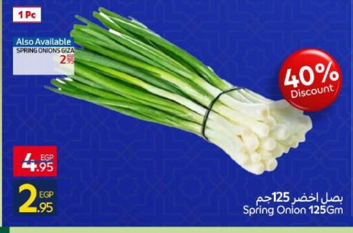 Onion available at Carrefour  in Egypt - Cairo