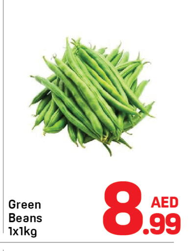 available at Day to Day Department Store in UAE - Dubai