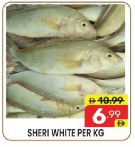 available at دريم نايت هايبرماركت in الإمارات العربية المتحدة , الامارات - دبي