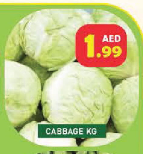 Cabbage available at سنابل بني ياس in الإمارات العربية المتحدة , الامارات - أم القيوين‎