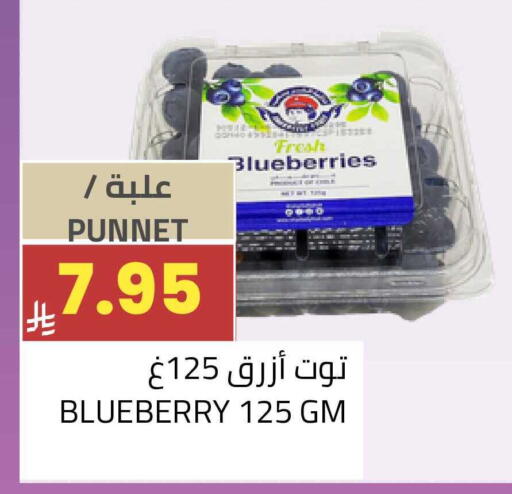 Blueberry BlueBerry available at أسواق أسترا in مملكة العربية السعودية, السعودية, سعودية - تبوك