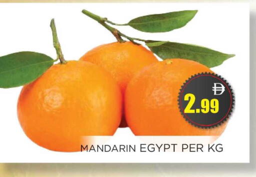 Mandarin from Egypt available at اينس المدينة هايبرماركت in الإمارات العربية المتحدة , الامارات - الشارقة / عجمان