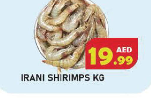 available at سنابل بني ياس in الإمارات العربية المتحدة , الامارات - أم القيوين‎