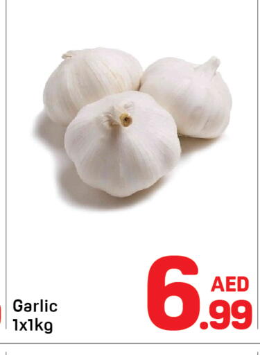 Garlic available at Day to Day Department Store in UAE - Dubai