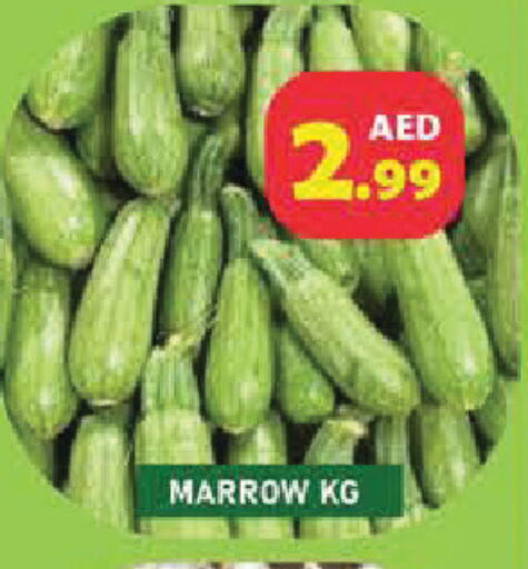 Marrow available at سنابل بني ياس in الإمارات العربية المتحدة , الامارات - أم القيوين‎