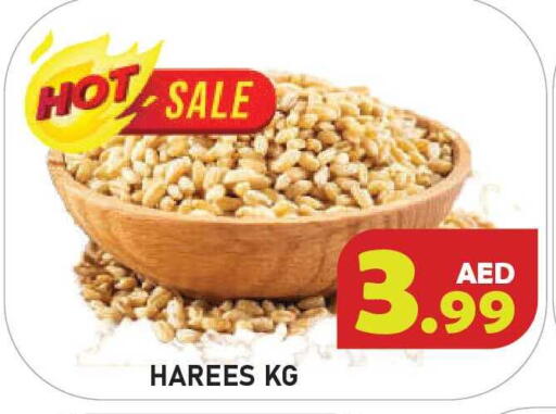 available at سنابل بني ياس in الإمارات العربية المتحدة , الامارات - أم القيوين‎