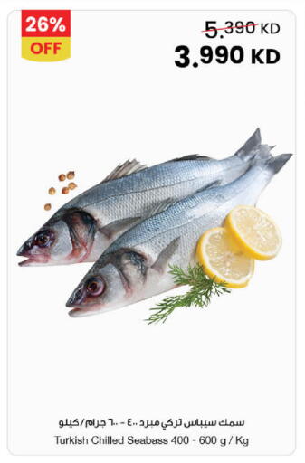 available at مركز سلطان in الكويت - محافظة الأحمدي