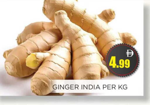 Ginger from India available at اينس المدينة هايبرماركت in الإمارات العربية المتحدة , الامارات - الشارقة / عجمان
