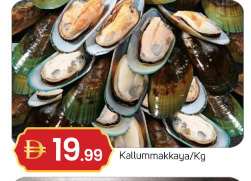 available at TALAL MARKET in UAE - Dubai