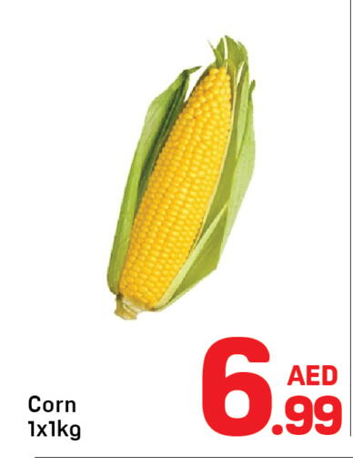 available at Day to Day Department Store in UAE - Dubai