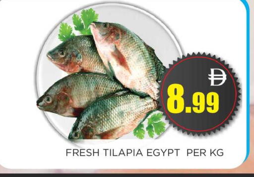 available at اينس المدينة هايبرماركت in الإمارات العربية المتحدة , الامارات - الشارقة / عجمان