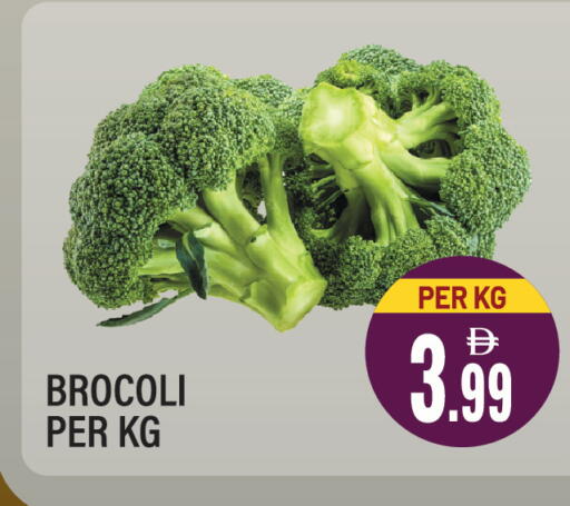 available at Dream Land in UAE - Sharjah / Ajman