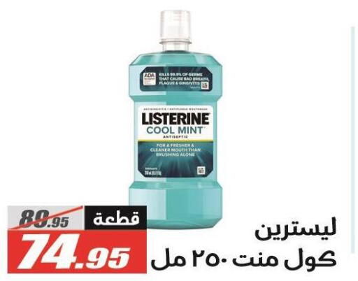 Mint available at الفرجاني هايبر ماركت in Egypt - القاهرة