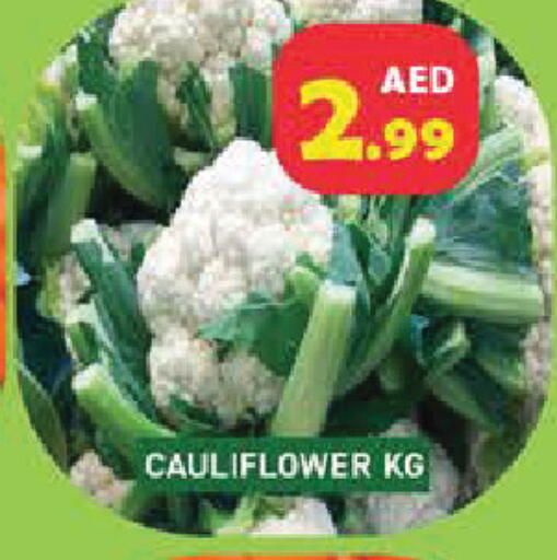 Cauliflower available at سنابل بني ياس in الإمارات العربية المتحدة , الامارات - أم القيوين‎