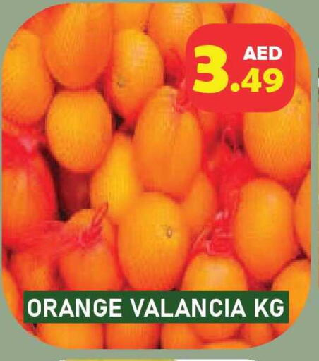 Orange from Valancia available at Baniyas Spike  in UAE - Umm al Quwain