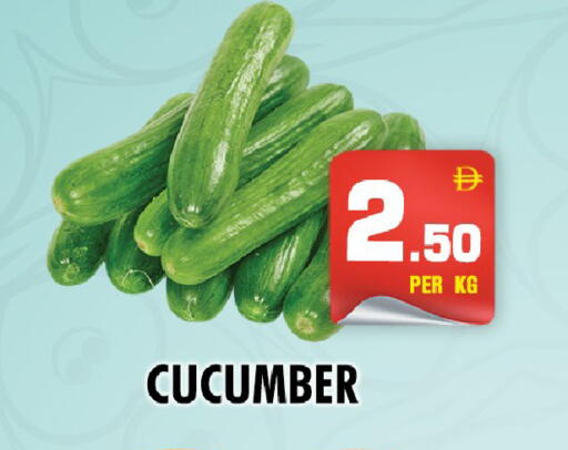 Cucumber available at نايت تو نايت in الإمارات العربية المتحدة , الامارات - دبي