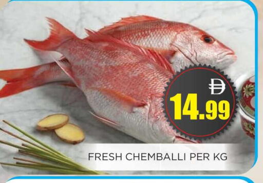 available at اينس المدينة هايبرماركت in الإمارات العربية المتحدة , الامارات - الشارقة / عجمان