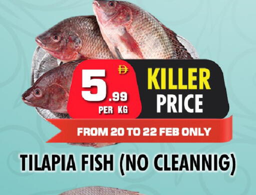 available at نايت تو نايت in الإمارات العربية المتحدة , الامارات - دبي