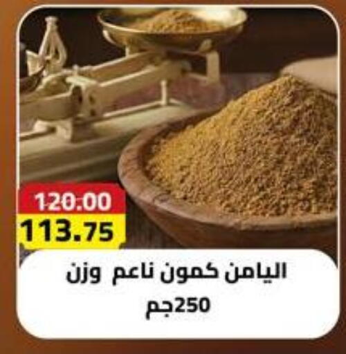 available at Grandy Hypermarket in Egypt - Cairo