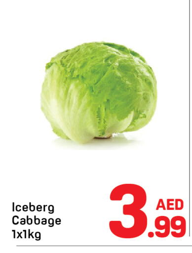 Cabbage available at Day to Day Department Store in UAE - Dubai
