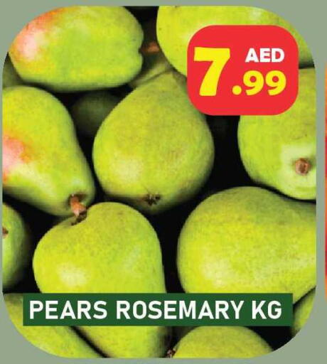 Rosemary available at Baniyas Spike  in UAE - Umm al Quwain