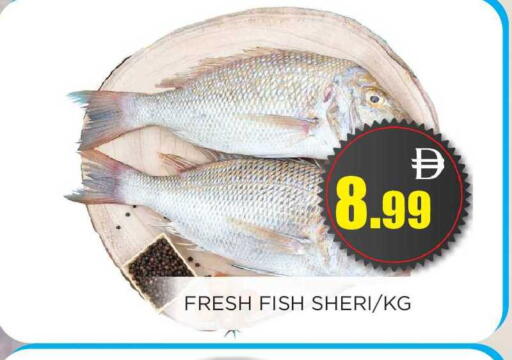 available at اينس المدينة هايبرماركت in الإمارات العربية المتحدة , الامارات - الشارقة / عجمان