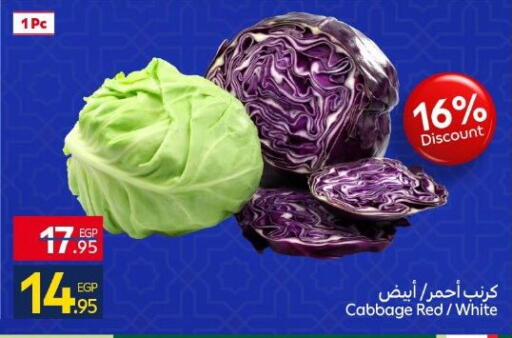 Cabbage available at Carrefour  in Egypt - Cairo