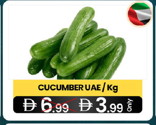 Cucumber available at  ELITE BASKET SUPERMARKET L.L.C. SP in UAE - Sharjah / Ajman