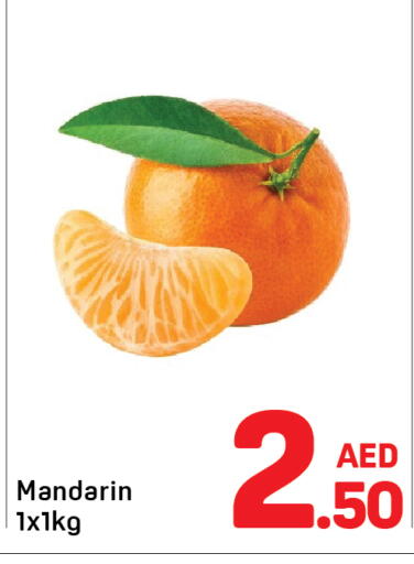 Mandarin available at Day to Day Department Store in UAE - Dubai