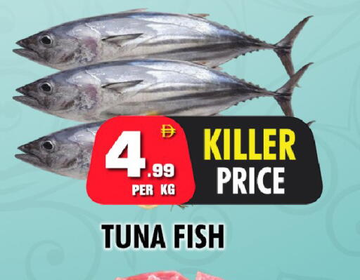 available at نايت تو نايت in الإمارات العربية المتحدة , الامارات - دبي