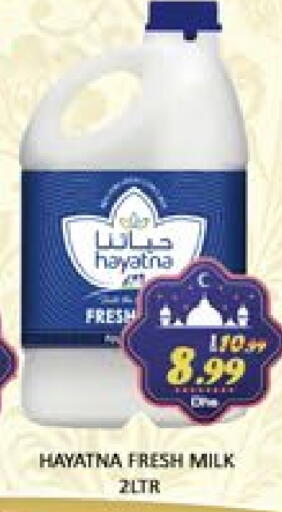 Mango available at Mango Hypermarket LLC in UAE - Dubai