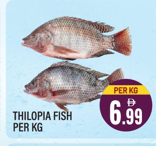 available at Dream Land in UAE - Sharjah / Ajman