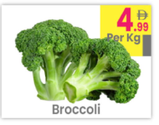 Broccoli available at مركز كل يوم in الإمارات العربية المتحدة , الامارات - رَأْس ٱلْخَيْمَة
