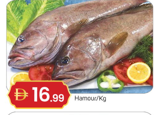 available at TALAL MARKET in UAE - Dubai