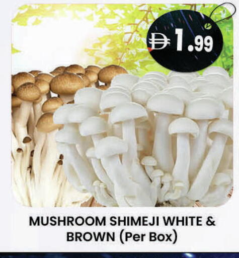 Mushroom available at K M Trading  in UAE - Al Ain