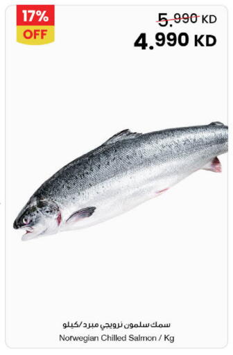 available at مركز سلطان in الكويت - محافظة الأحمدي