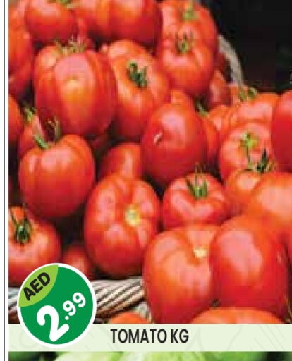 Tomato available at Baniyas Spike  in UAE - Abu Dhabi