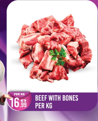 available at Dream Land in UAE - Dubai