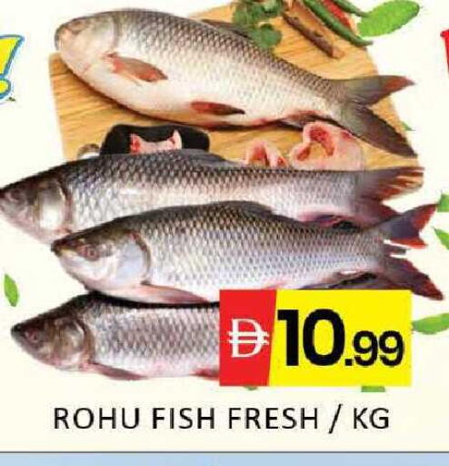 Mango available at Mango Hypermarket LLC in UAE - Dubai