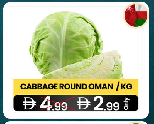 Cabbage from Oman available at  ELITE BASKET SUPERMARKET L.L.C. SP in UAE - Sharjah / Ajman