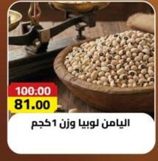 available at Grandy Hypermarket in Egypt - Cairo