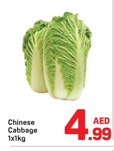 Cabbage from China available at Day to Day Department Store in UAE - Dubai