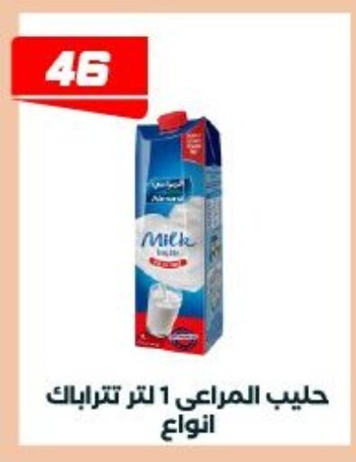 available at Arafa Market in Egypt - Cairo