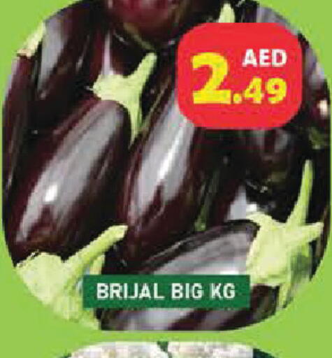 available at سنابل بني ياس in الإمارات العربية المتحدة , الامارات - أم القيوين‎