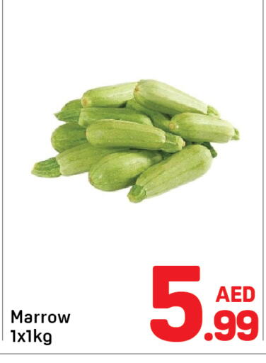 Marrow available at Day to Day Department Store in UAE - Dubai