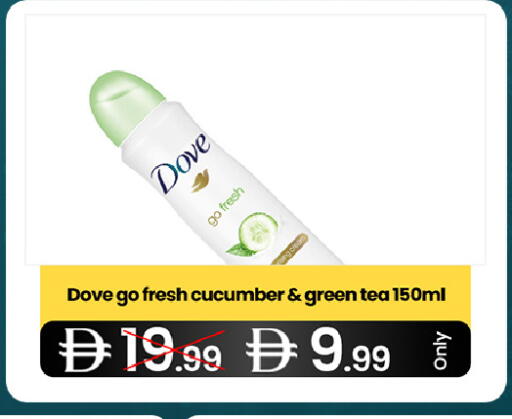 Cucumber available at  ELITE BASKET SUPERMARKET L.L.C. SP in UAE - Sharjah / Ajman