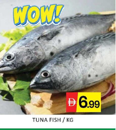 Mango available at Mango Hypermarket LLC in UAE - Dubai